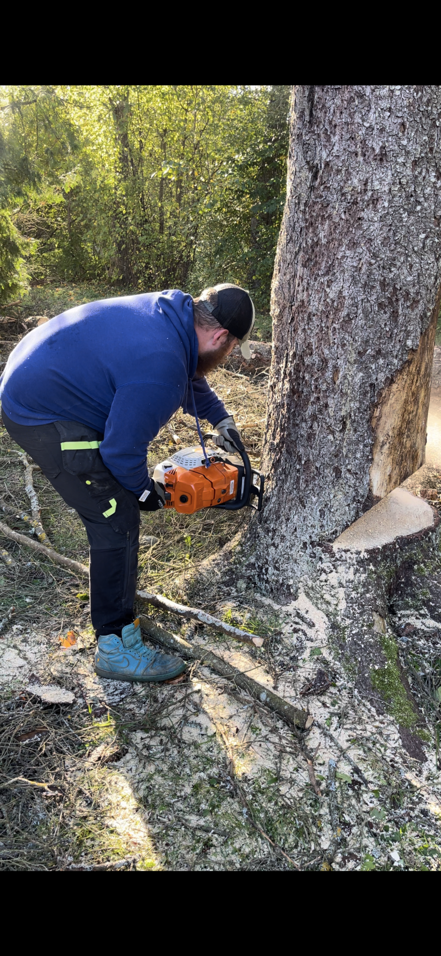 Tõstuki teenused Dino 160XT tõstuk, Korvtõstuki rent, Katuste pesemine, Fassaadi pesu, Kõrgtööd, Arborist Pärnumaal Vändra, Pärnumaa, Viljandi